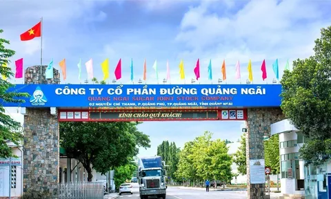 Đường Quảng Ngãi (QNS) sắp chi hơn 735 tỷ đồng trả cổ tức bằng tiền mặt đợt 2 cho cổ đông với tỷ lệ 20%