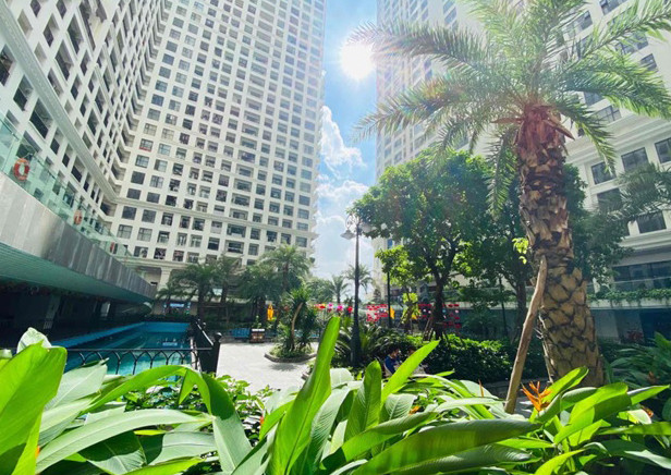 Sunshine Garden, nhà sang giữa ban mai trong vườn phố.