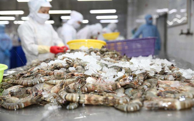 Tập đoàn Thủy sản Minh Phú (MPC) đã công bố BCTC hợp nhất quý 3/2020 với doanh thu 4.416 tỷ đồng.