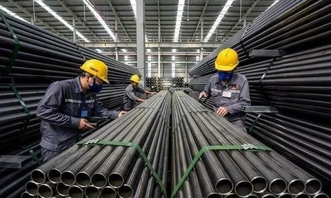 Bà Phạm Thị Hồng rời ghế Tổng giám đốc Thép Tiến Lên (TLH) sau hơn 14 năm gắn bó