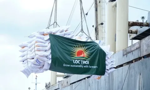 Tập đoàn Lộc Trời trúng thầu 100.000 tấn gạo xuất khẩu thu về hơn 1.300 tỷ đồng