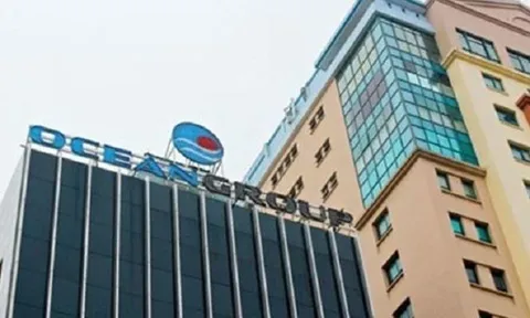 Hùng Lĩnh của Chủ tịch Lương Việt Long trở thành cổ đông lớn của Ocean Group (OCG)