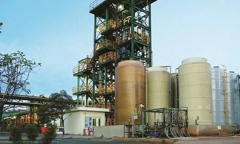 Hóa chất Cơ bản miền Nam (CSV) chia cổ tức bằng tiền và cổ phiếu với tỷ lệ lên đến 175%