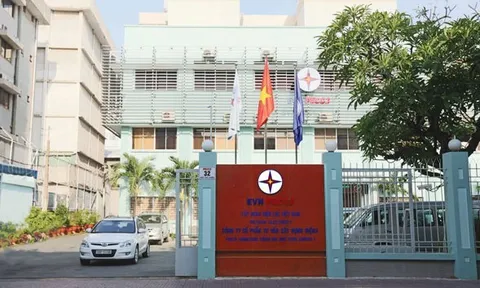 Tư vấn Xây dựng Điện 2 (TV2) bị xử phạt vì nộp hồ sơ khai thuế quá thời hạn