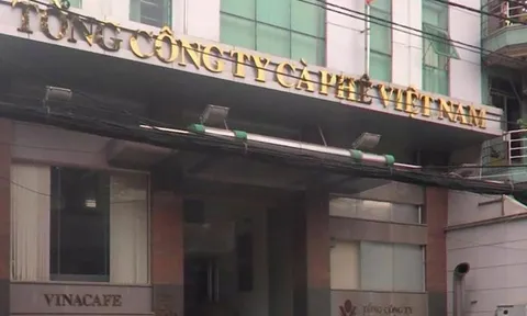 Tổng công ty Cà phê Việt Nam (Vinacafe) lỗ luỹ kế hơn nghìn tỷ đồng
