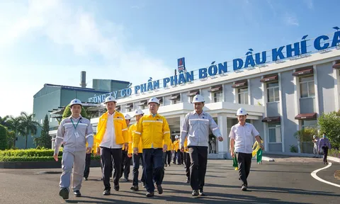 Quý II, Phân bón Dầu khí Cà Mau (DCM) lãi gộp 610 tỷ đồng tăng 65% so với cùng kỳ