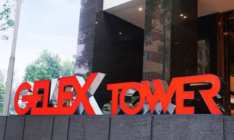 Tập đoàn Gelex được Ngân hàng Nhà nước cho phép gia tăng tỷ lệ sở hữu tối đa lên 10% tại Eximbank