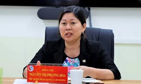 Thủ tướng giao Thứ trưởng Nguyễn Thị Phương Hoa điều hành Bộ Tài nguyên và Môi trường