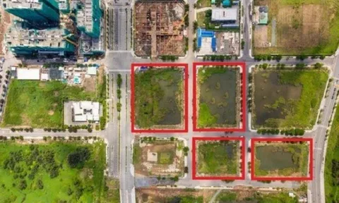 UBND TP.HCM giao Phó Chủ tịch Bùi Xuân Cường chỉ đạo vụ đấu giá đất khu đô thị Thủ Thiêm