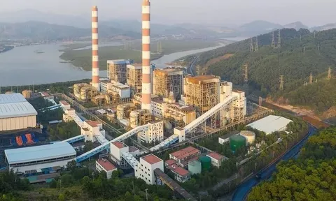 Năng Lượng REE, công ty con của Cơ Điện Lạnh (REE) bán bất thành 2 triệu cổ phiếu của Nhiệt điện Phả Lại (PPC)
