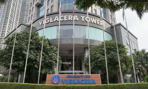 6 tháng Viglacera (VGC), đạt lợi nhuận gần 575 tỷ đồng, dự chi hơn 560 tỷ đồng trả cổ tức bằng tiền mặt còn lại của năm 2023