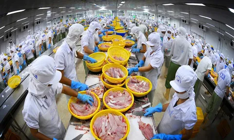 9 tháng xuất khẩu tôm và cá tra mang về cho Việt Nam khoảng 4,1 tỷ USD