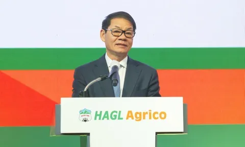 Sắp nhận về 32.500 ha đất, HAGL Agrico (HNG) kỳ vọng có lãi vào năm 2025, khiến cổ phiếu tăng 70%, nhóm tỷ phú Trần Bá Dương có thêm 1.400 tỷ đồng