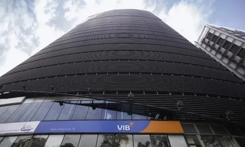 VIB dự kiến lợi nhuận mục tiêu 11.020 tỷ đồng, tăng 22% so với năm 2024, chia cổ tức bằng tiền mặt với tỷ lệ 7%