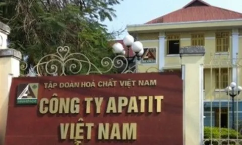 Phốt pho Apatit Việt Nam (PAT), công ty con của Hóa chất Đức Giang dự kiến trả cổ tức năm 2024 lên đến 95%