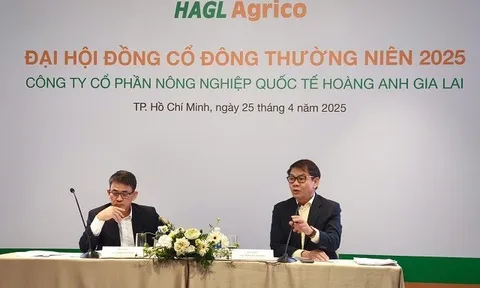 Chủ tịch Trần Bá Dương: HNG có nợ và có đất, nhưng thực tế có còn nhiều cái tích tụ, năm 2025 sẽ xử lý những tài sản “có xác không hồn”