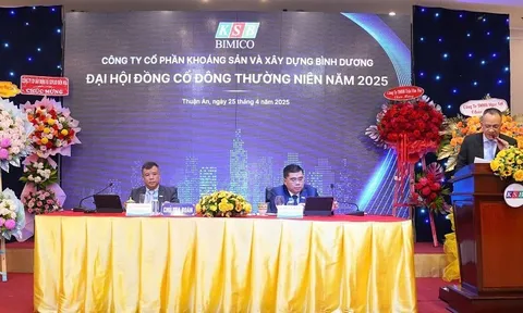 ĐHCĐ 2025 KSB: Phát hành thêm cổ phiếu để tăng vốn điều lệ, đẩy mạnh khai thác khoáng sản