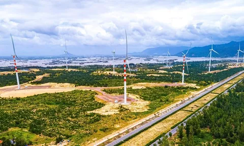 Nexif Ratch Energy (Singapore) đầu tư dự án điện gió hơn 5.700 tỷ đồng tại Gia Lai
