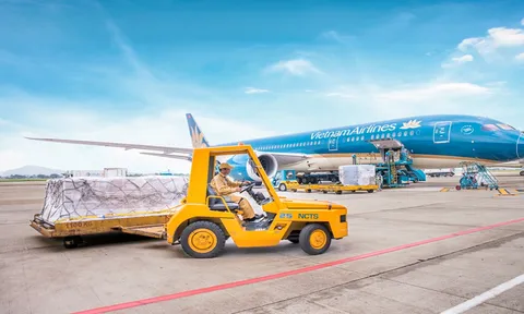 Dịch vụ hàng hóa Nội Bài (NCT) chi gần 210 tỷ đồng chốt quyền chia cổ tức bằng tiền mặt với tỷ lệ 80%