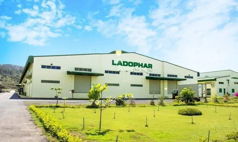 Dược Lâm Đồng - Ladophar (LDP) sẽ dùng quỹ đầu tư phát triển và thặng dư vốn để xoá lỗ luỹ kế hơn 50 tỷ đồng