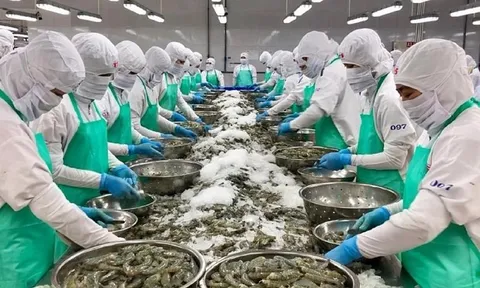 VASEP: Xuất khẩu thủy sản có thể cán mốc 11 tỷ USD