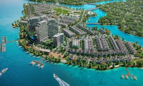 Đồng Nai xử lý các sai phạm theo kết luận của Thanh tra Chính phủ