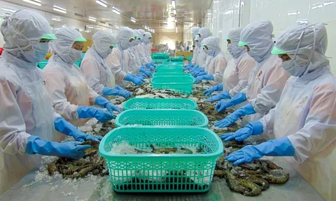 Thực phẩm Sao Ta (FMC) dự kiến hoàn thành mục tiêu lợi nhuận 420 tỷ đồng