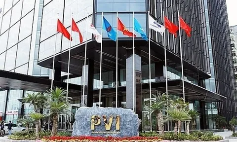 Quý IV, PVI lỗ đến 29 tỷ đồng nhưng quyết định chi hơn 50 tỷ đồng để trả thù lao cho lãnh đạo