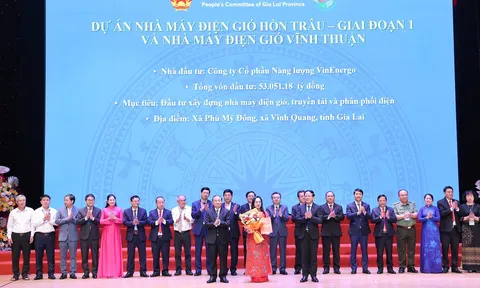 VinEnergo, công ty con của Tập đoàn Vingroup, đầu tư 8 tỷ USD vào cụm nhà máy điện gió Gia Lai