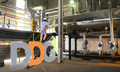 Giá cổ phiếu DDG của Indochine Imex bốc hơi 83%, lãnh đạo và những người có liên quan bán tháo hơn 6.1 triệu cổ phiếu