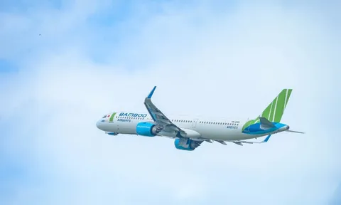 Cục Hàng không nói về việc toàn bộ hội đồng quản trị Bamboo Airways xin nghỉ