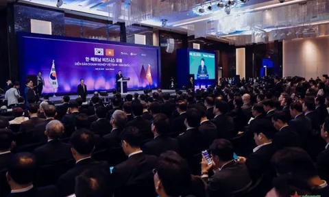 Tập đoàn CT Group và CJ Group đẩy mạnh hợp tác nhân chuyến viếng thăm của Tổng thống Hàn Quốc