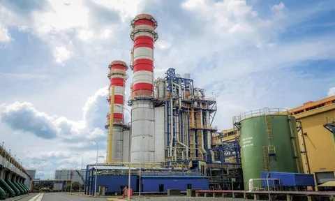 Sau khi có kết quả không thuận lợi ở quý II, Hoá chất Đức Giang (DGC) lên kế hoạch lãi quý III giảm 50% so với năm 2022