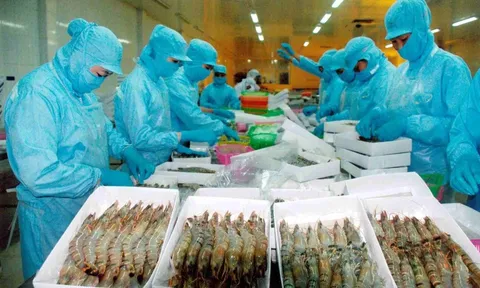 Sau 5 quý thua lỗ liên tiếp, Thủy sản Bạc Liêu (BLF) có lãi nhẹ trong quý II/2023