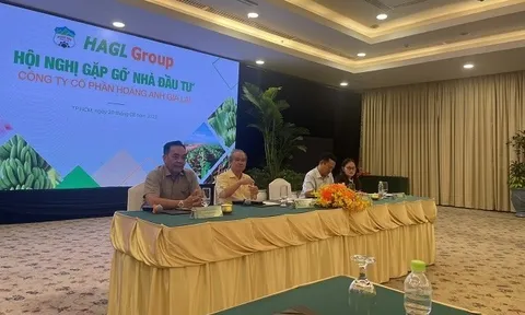 Hoàng Anh Gia Lai (HAG) đóng cửa 150 cửa hàng sau khi Bapi thua lỗ