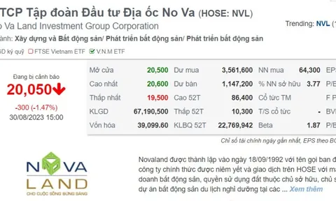 Bán chui hơn 603 ngàn cp NVL thu về 11 tỷ đồng, ông Huỳnh Minh Lâm, Kế toán trưởng Novaland bị phạt 100 triệu đồng