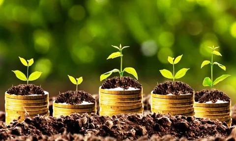 32 doanh nghiệp chốt quyền trả cổ tức ngay sau kỳ nghỉ lễ dài, Phát điện 3 (PGV) chi hơn 1.629 tỷ đồng để trả cổ tức bằng tiền mặt