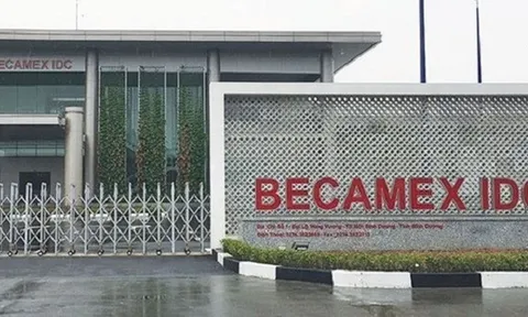 Tổng Công ty Đầu tư và Phát triển Công nghiệp (BCM) giảm 57 tỷ đồng sau soát xét, nợ phải trả tăng đến 30,882 tỷ đồng