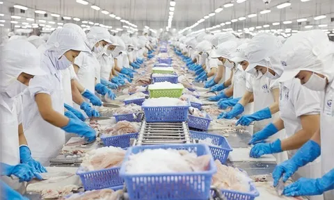 Sau 10 năm, Việt Nam xuất khẩu thủy sản sang Mỹ tăng 80% đạt 2.15 tỷ USD vào năm 2022