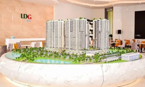 Lỗ 144 tỷ đồng, LDG bất ngờ thay đổi đơn vị kiểm toán và công bố báo cáo tài chính soát xét, đơn vị kiểm toán lưu ý về khoản nợ quá hạn 57 tỷ đồng
