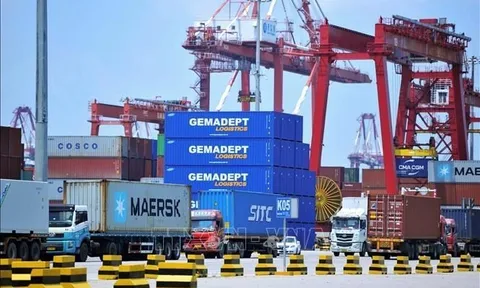 Cục thuế TP.HCM phạt và truy thu Gemadept (GMD) gần 3,6 tỷ đồng tiền thuế