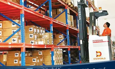 Digiworld (DGW) chi 167 tỷ đồng trả cổ tức cho cổ đông bằng tiền mặt với tỷ lệ 10%