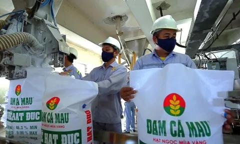 9 tháng, Phân bón Dầu khí Cà Mau (DCM) ước đạt 9.500 tỷ đồng doanh thu thực hiện 70% kế hoạch