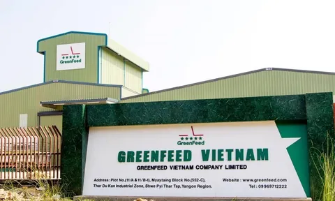 6 tháng, GreenFeed Việt Nam của đại gia Lý Anh Dũng báo lỗ gần 20 tỷ đồng, nợ phải trả lên gần 5.500 tỷ đồng