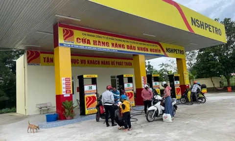 Quý III, Dầu khí Nam Sông Hậu (PSH) của đại gia Mai Văn Huy lãi ròng gấp đôi cùng kỳ đạt 13 tỷ đồng