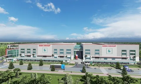 Siba Group, công ty con của Siba Holdings liên quan đến Heo ăn chay BAF làm ăn thế nào trước thềm niêm yết tại HoSE?