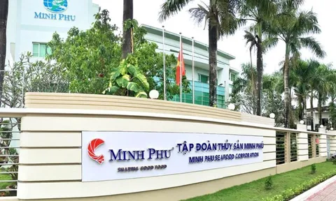 Tập đoàn Thủy sản Minh Phú (MPC) sắp chi hơn 164 tỷ đồng để trả cổ tức bằng tiền