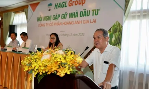 Được Eximbank giảm hơn 1.400 tỷ lãi vay, Hoàng Anh Gia Lai (HAG) dự kiến đạt mức lãi đột biến lên đến hơn 2.150 tỷ đồng