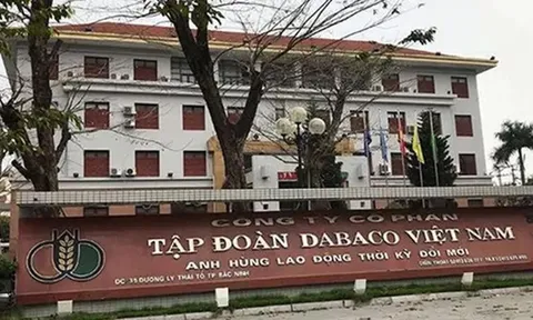 “Ông lớn” ngành chăn nuôi Dabaco đặt mục tiêu lợi nhuận lên đến 804 tỷ đồng trong năm 2024 liệu có khả thi?