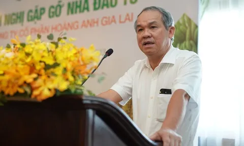 Hoàng Anh Gia Lai (HAG) của ông Đoàn Nguyên Đức muốn bán hơn 13 triệu cổ phiếu HNG để trả nợ trái phiếu cho BIDV
